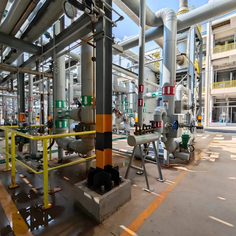 news-800-800 news-800-800